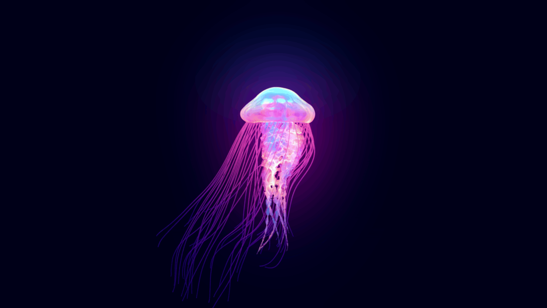 Magical Jellyfish